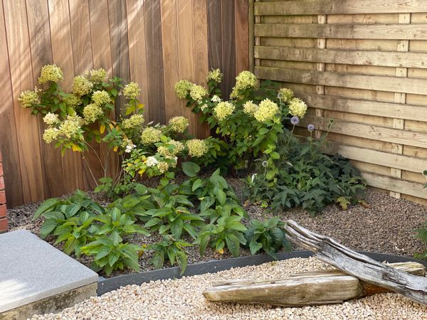 Laura & Laurent’s home in Le Coq/De Haan. This is our home away from home and have great memories.