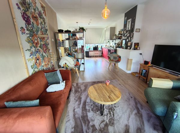 Nice place in Rotterdam

(With pets)