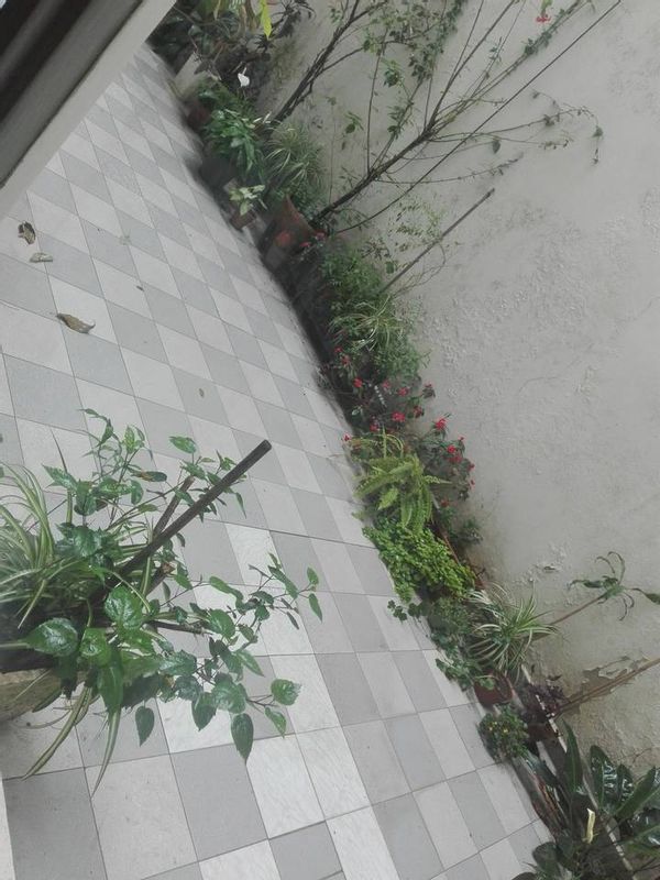 home