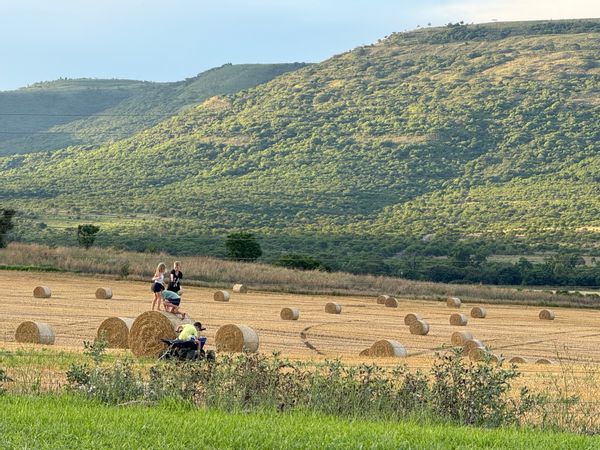 La maison de Chardonnay