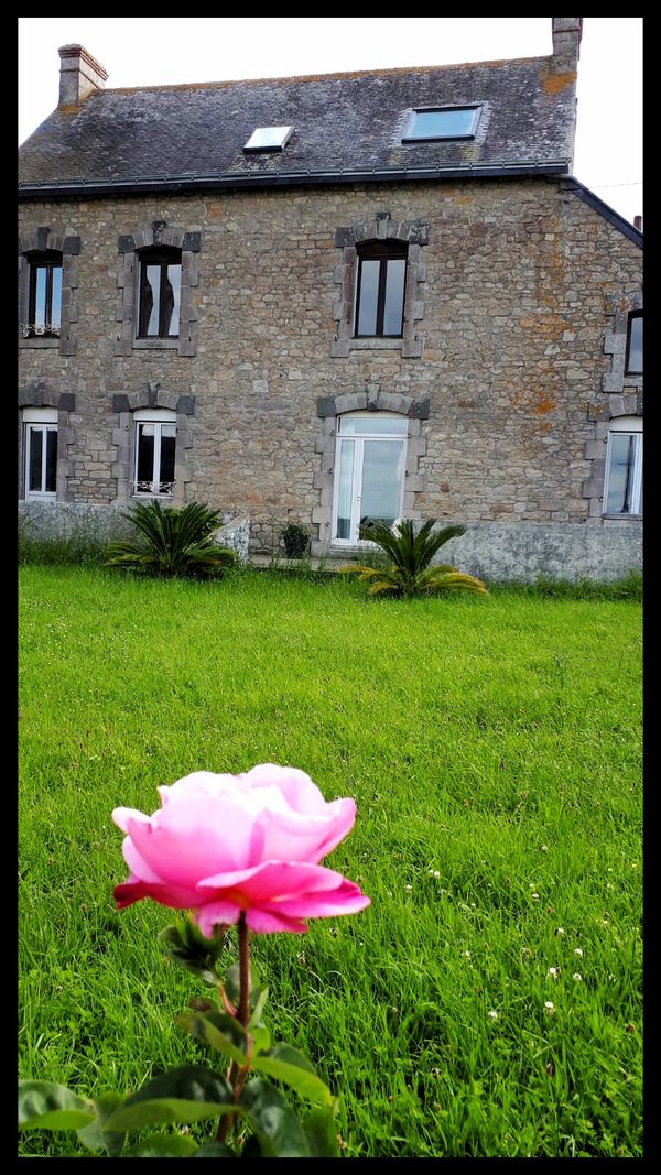 Dorine's house