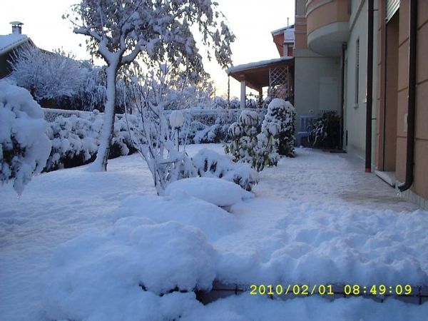 Tina's house