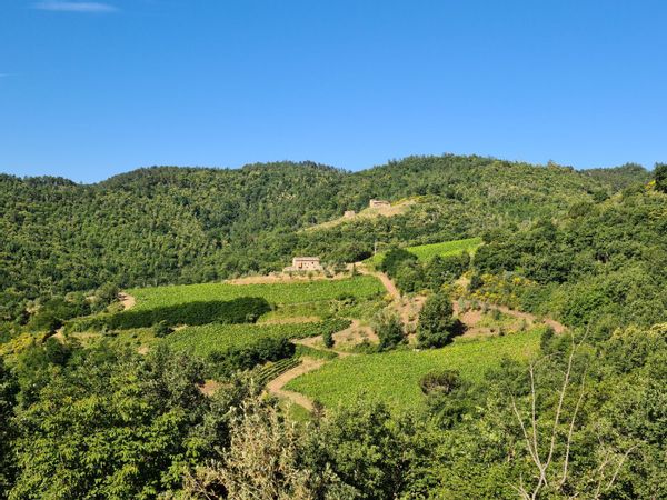 Home in Gaiole in Chianti