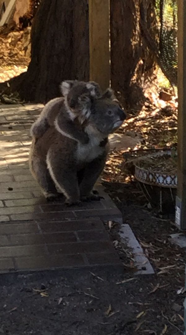 La maison de Beth and Lindsay