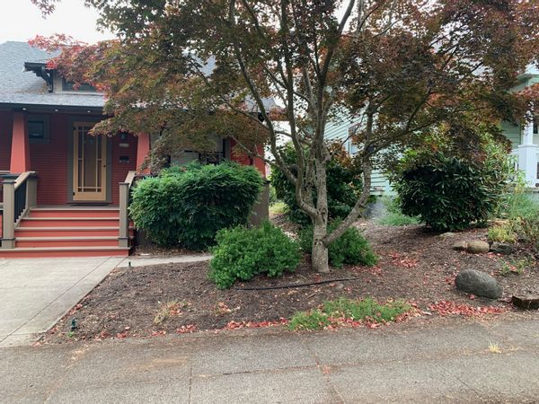 Renovated bungalow in the Alberta Arts area of Portland—comes with three sweet, easygoing cats.