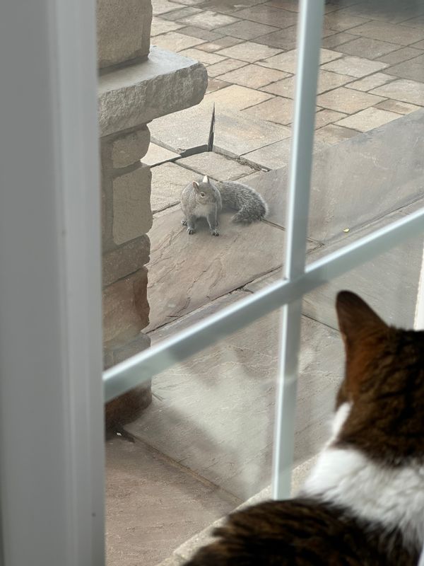 Geraud & Sandrines hus