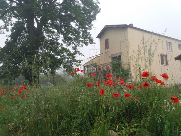 A L'OMBRE DU TILLEUL CHEZ FREDDY ET DIDIER