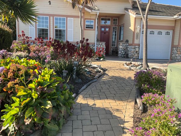 Dona and Greg's Beach House