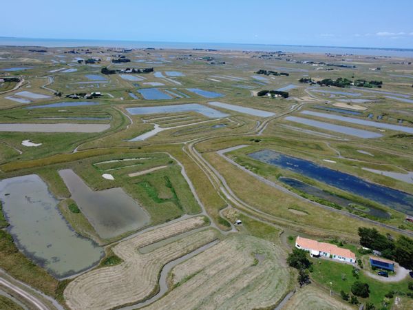 la côte vendéenne pour vous,ouverts à toutes propositions