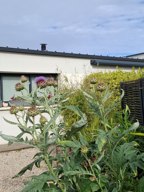 Françoise's house