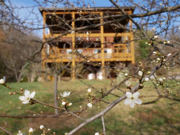 Maison en bois face au Vercors