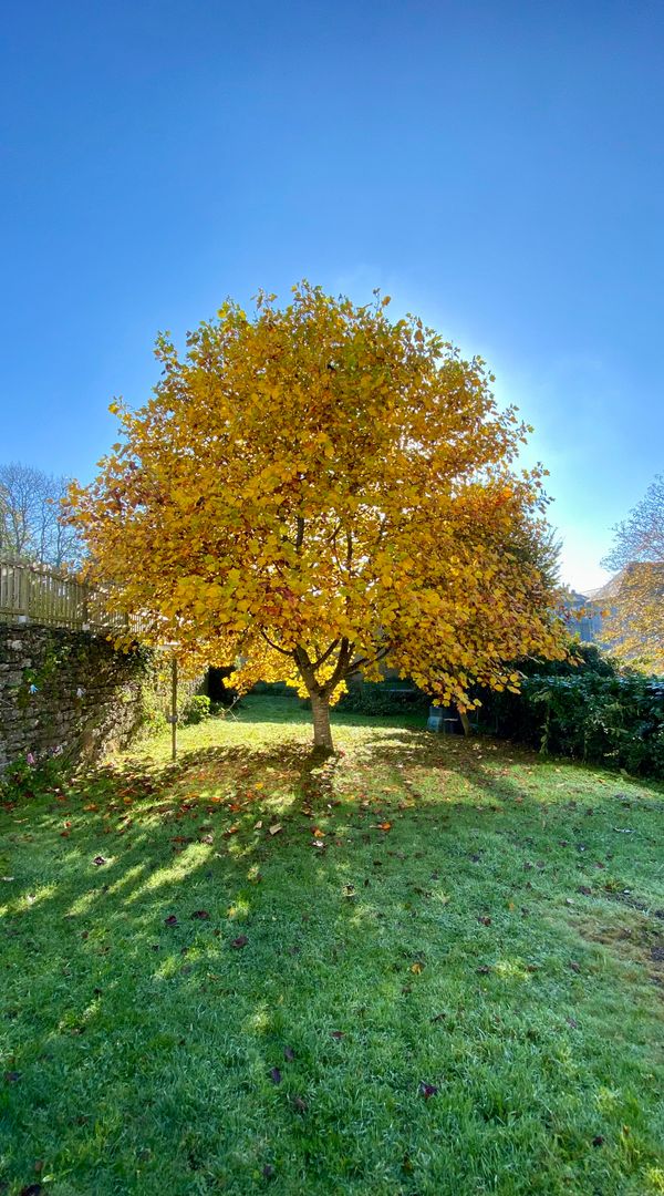 Échange de maison en Centre-Bretagne : Une invitation à vous ressourcer !