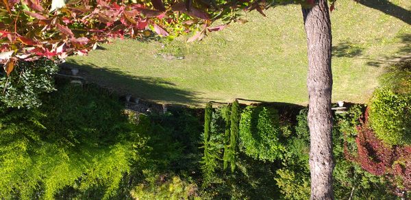 La maison de Anne Lise