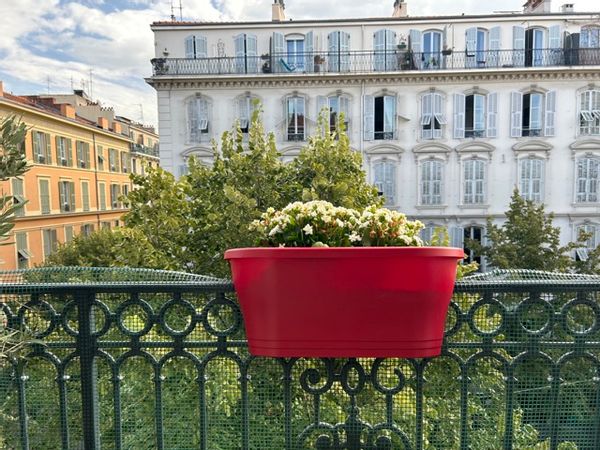 Au coeur de la Côte d'Azur