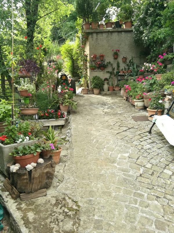 Paola Ciulli's house
