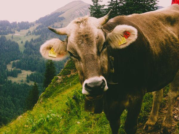 La maison de Bianca & Robert