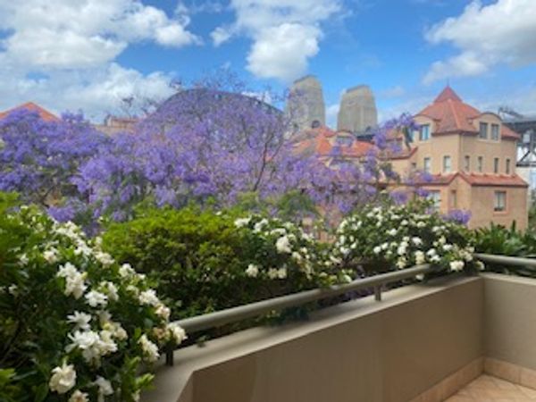 Sydney with a view - hosted