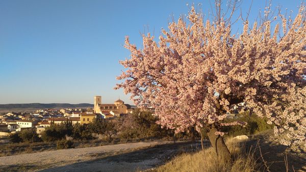 La maison de Pascual y Teresa