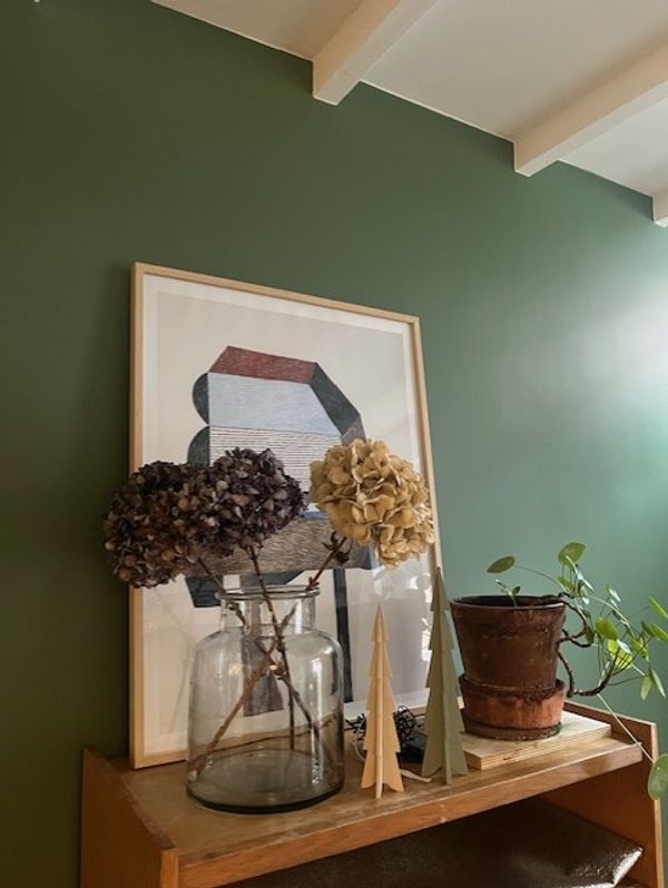 Petite maison typique de Lille dans un quartier calme avec son jardin verdoyant.