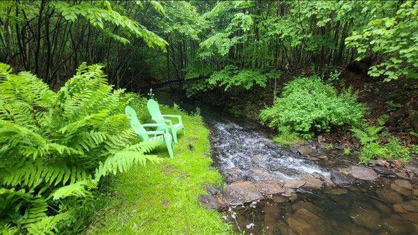 Country living at it's best!  Forget the world, relax w/nature and the beauty of this great country.