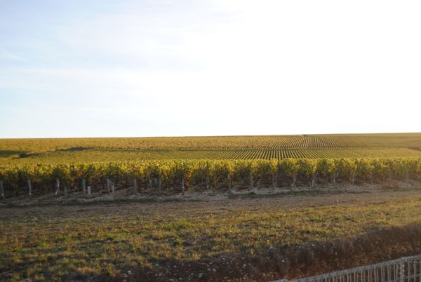 Amandine Et Mathieus hus