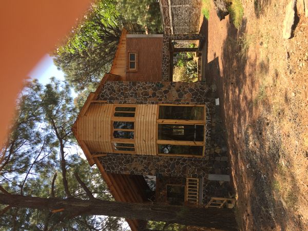 Chalet dans un bois privé