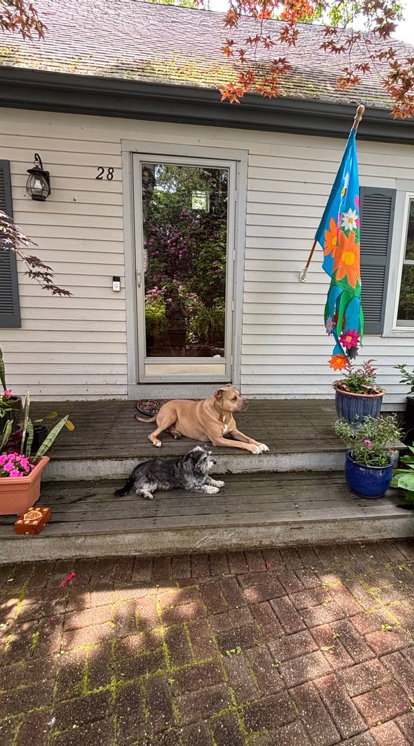 La maison de Kristen