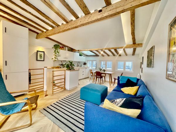 Sunny central renovated Paris appartment