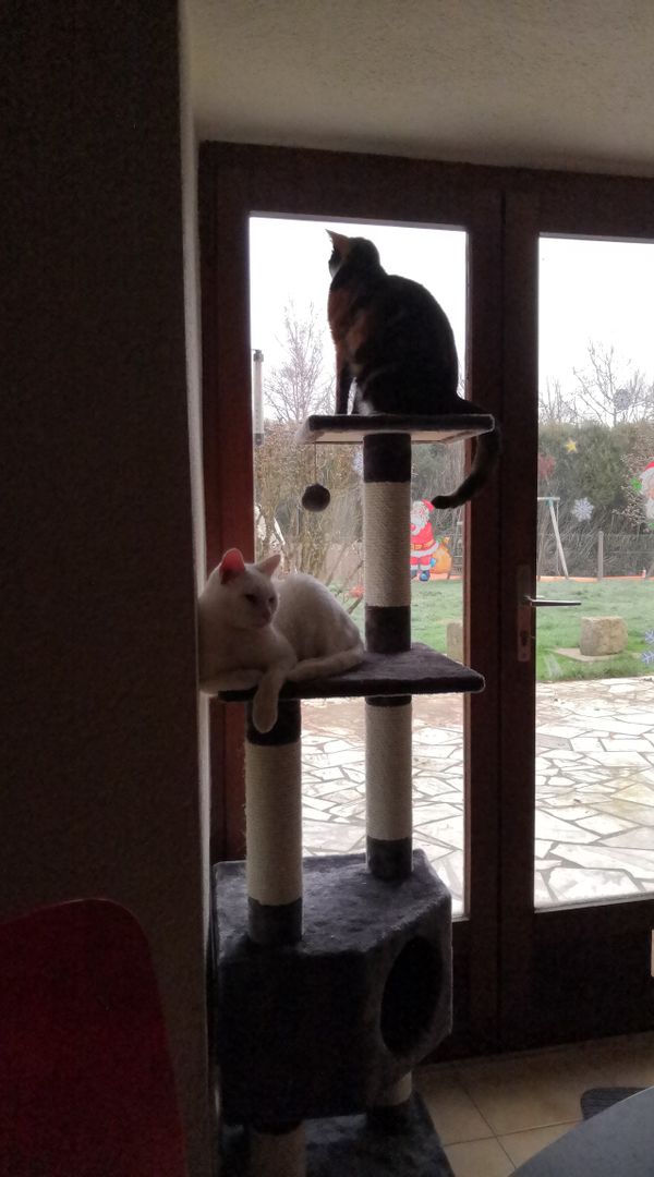 La maison de Delphine