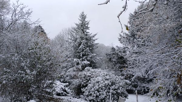 La maison de Bernard Et Odette