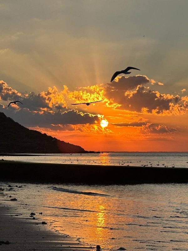 La maison de Annabelle