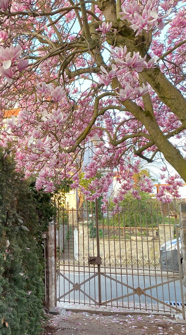 La maison de Angelika