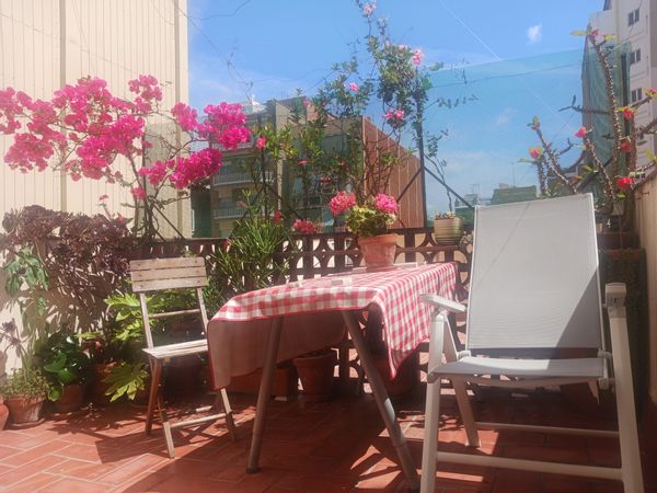 mi casa