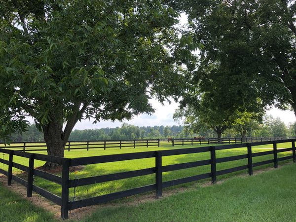 Rocky Swamp Farm guest cabin