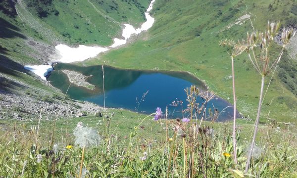 Appartement Rez jardin dans chalet