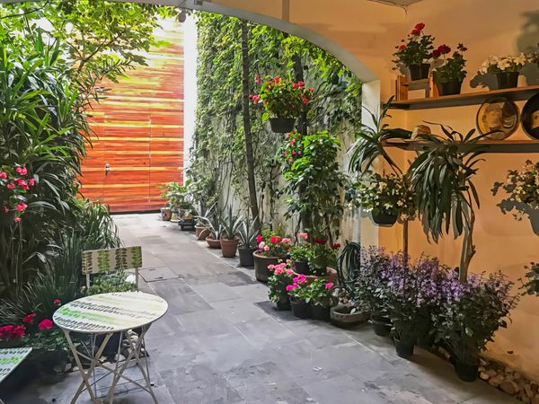 Casa Contemporánea de Martha y Pancho en San Angel