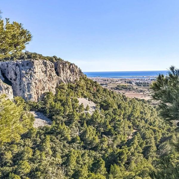 Audrey, Benjamin et les enfants s Haus