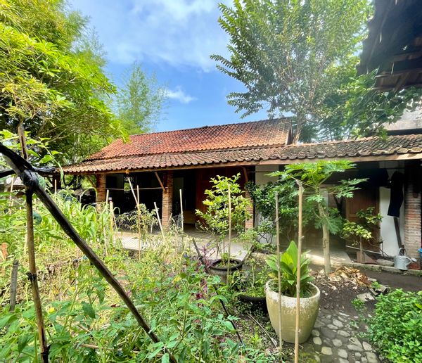 La Maison de Dominique Yogyakarta