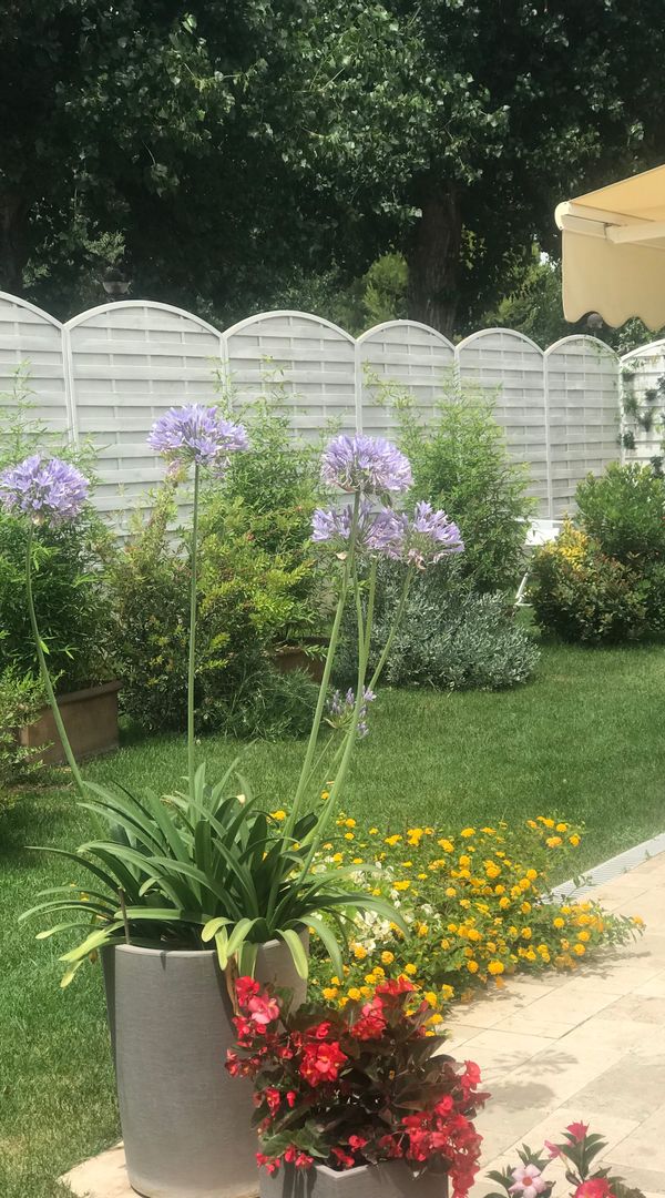 La maison de Stefania