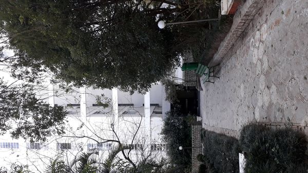 Anaci s Haus
