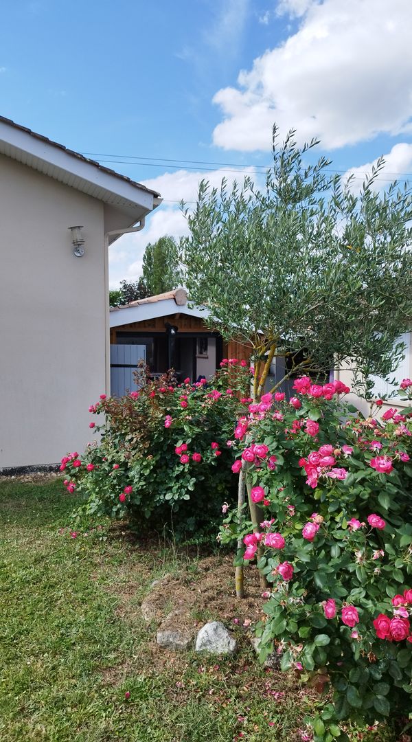 Appartement idéal proche Bordeaux et commodités