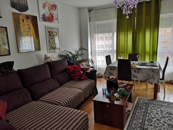 David Y Carolina's house