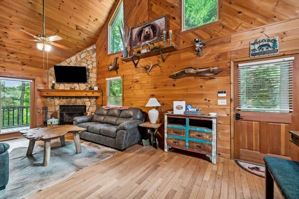 Cabin in Blue Ridge