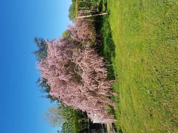 Visitez Paris chez Sarah !