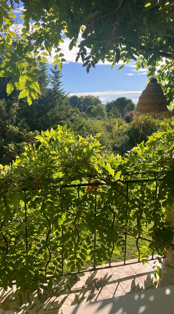 Un petit coin de Paradou