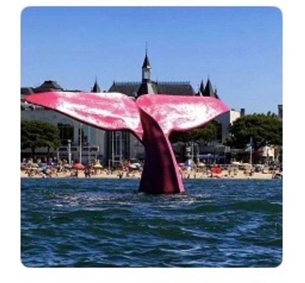 3 / Arcachon Coeur de la ville d’été (T2) : marcher à la plage, restaurant, marché, boutiques, …