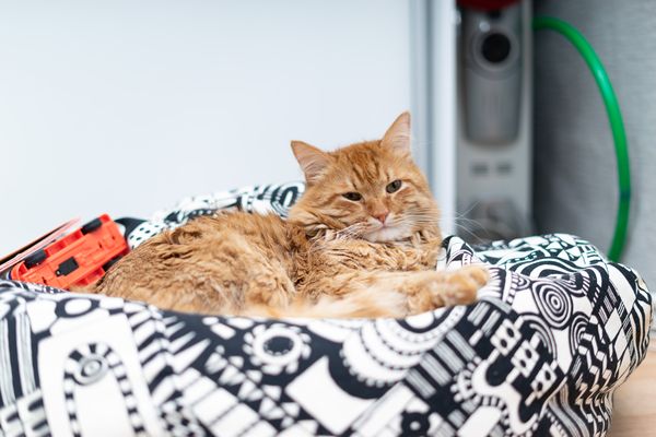 La maison de Kenny Ferney