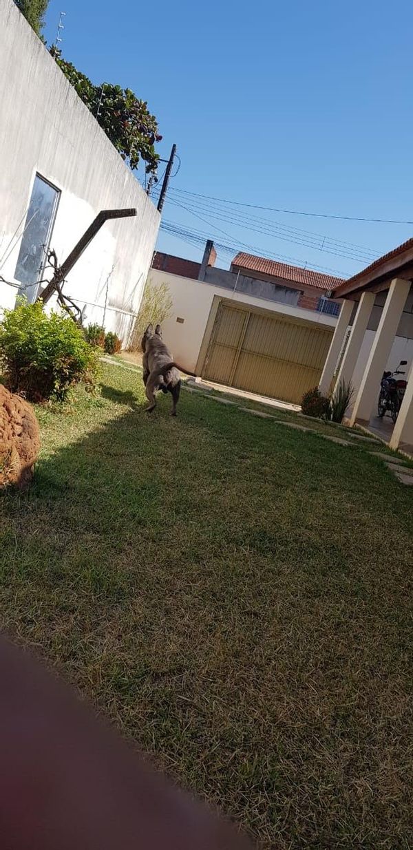 La maison de Marcela Micotti Meyer Filó