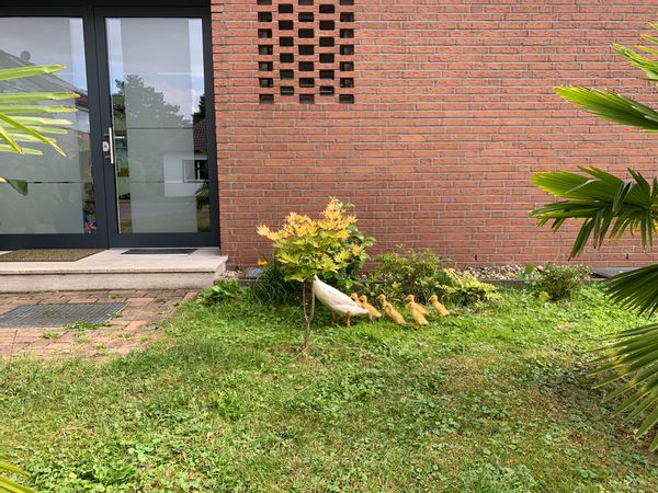 La maison de Johanna