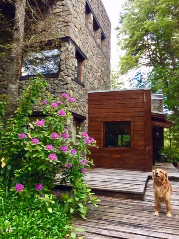 Maria Cecilia Pombo's house